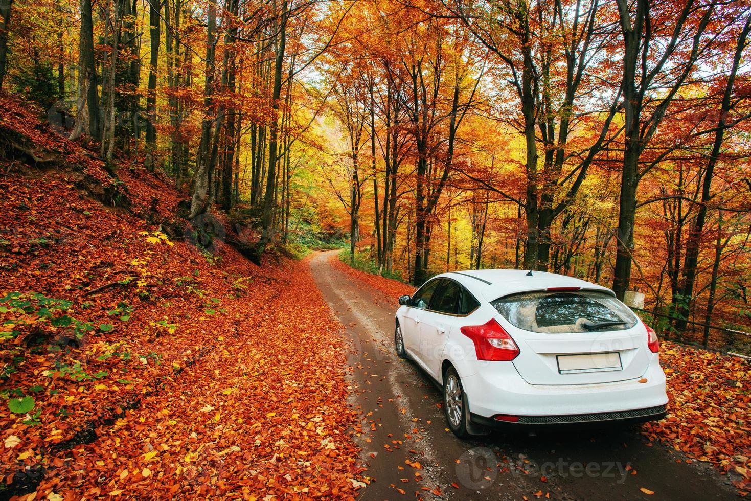 coche en un camino forestal. hermoso camino en las montañas de Ucrania foto