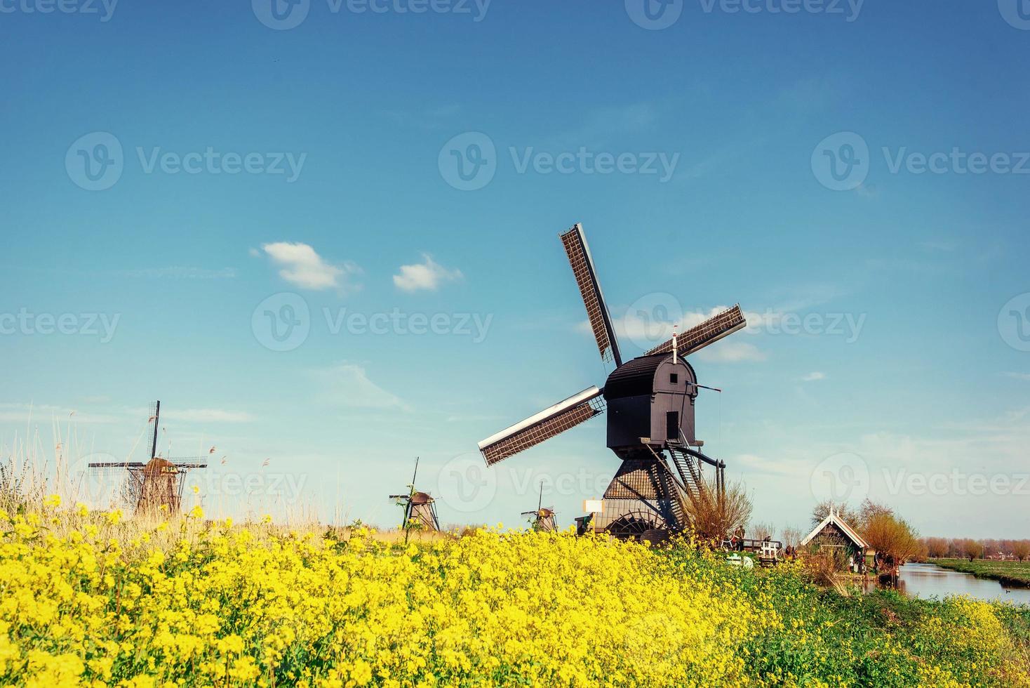 Old Dutch windmills spring from the canal in Rotterdam. Holland. photo