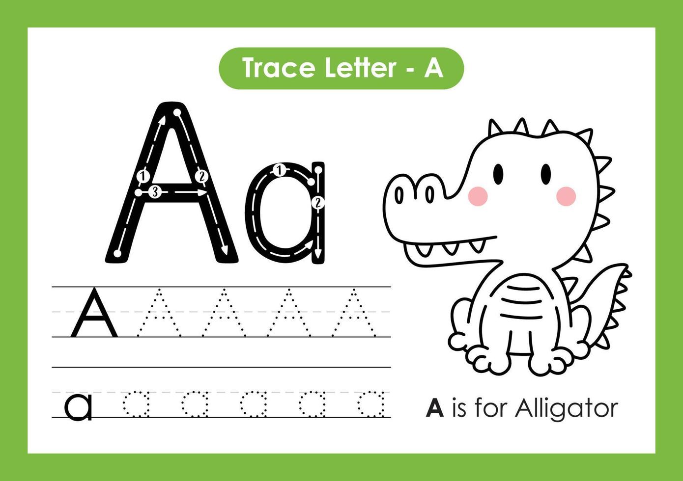 Alphabet Trace Letter A to Z preschool worksheet with Letter A Alligator vector