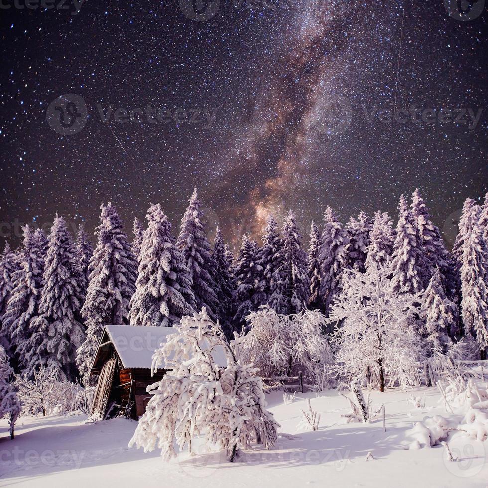 cielo estrellado y un árbol helado en la hermosa casa en el bosque en pleno invierno foto