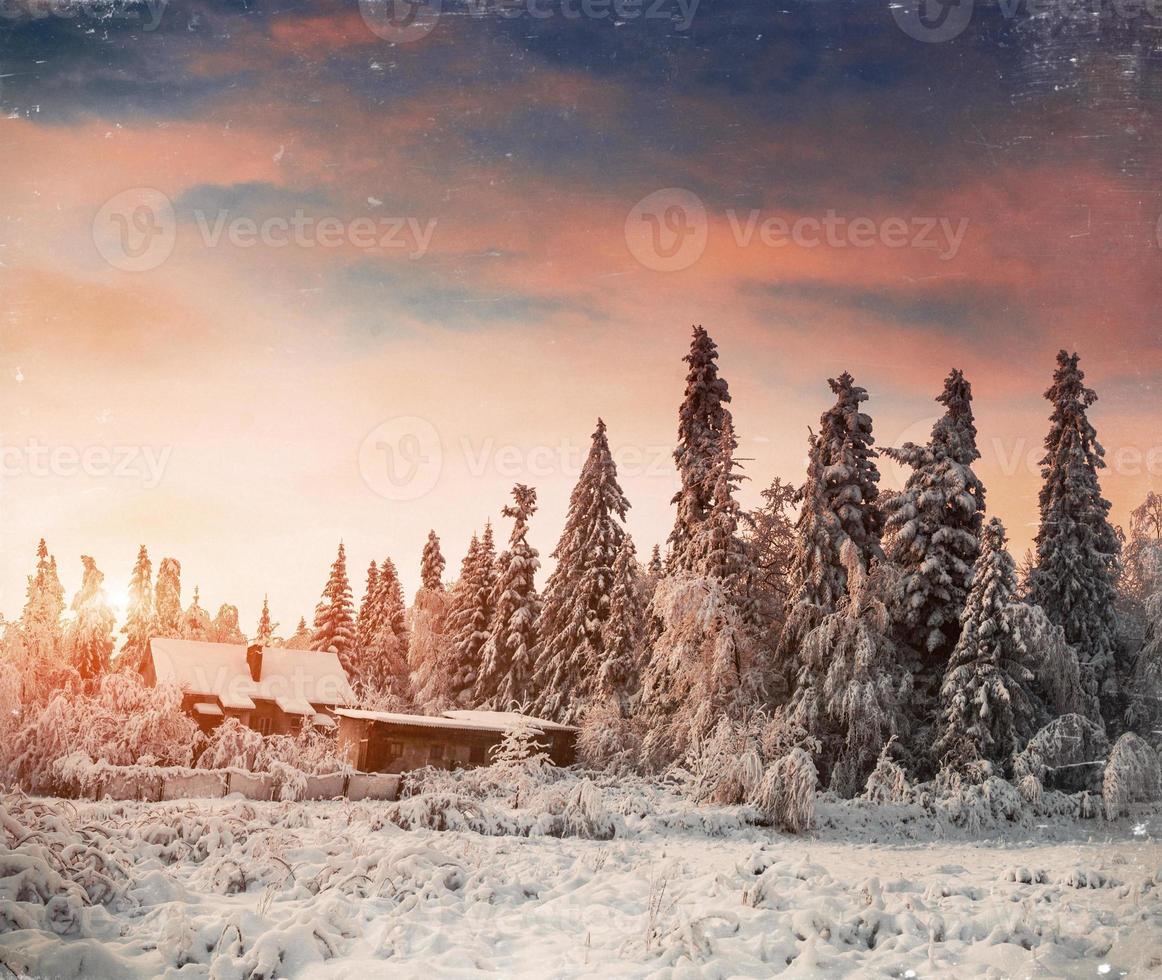 Winter landscape with snow in mountains Carpathians, Ukraine. Vi photo