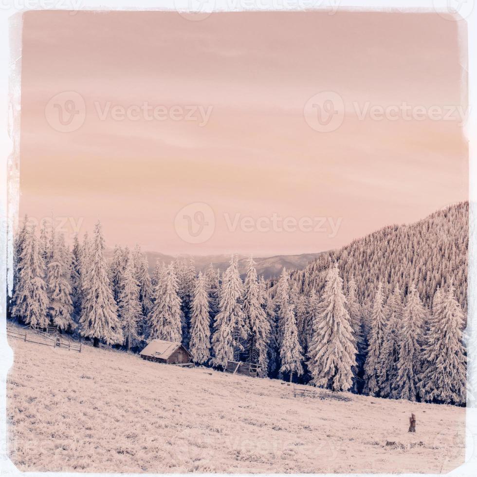 Winter landscape with snow in mountains Carpathians, Ukraine. Vi photo