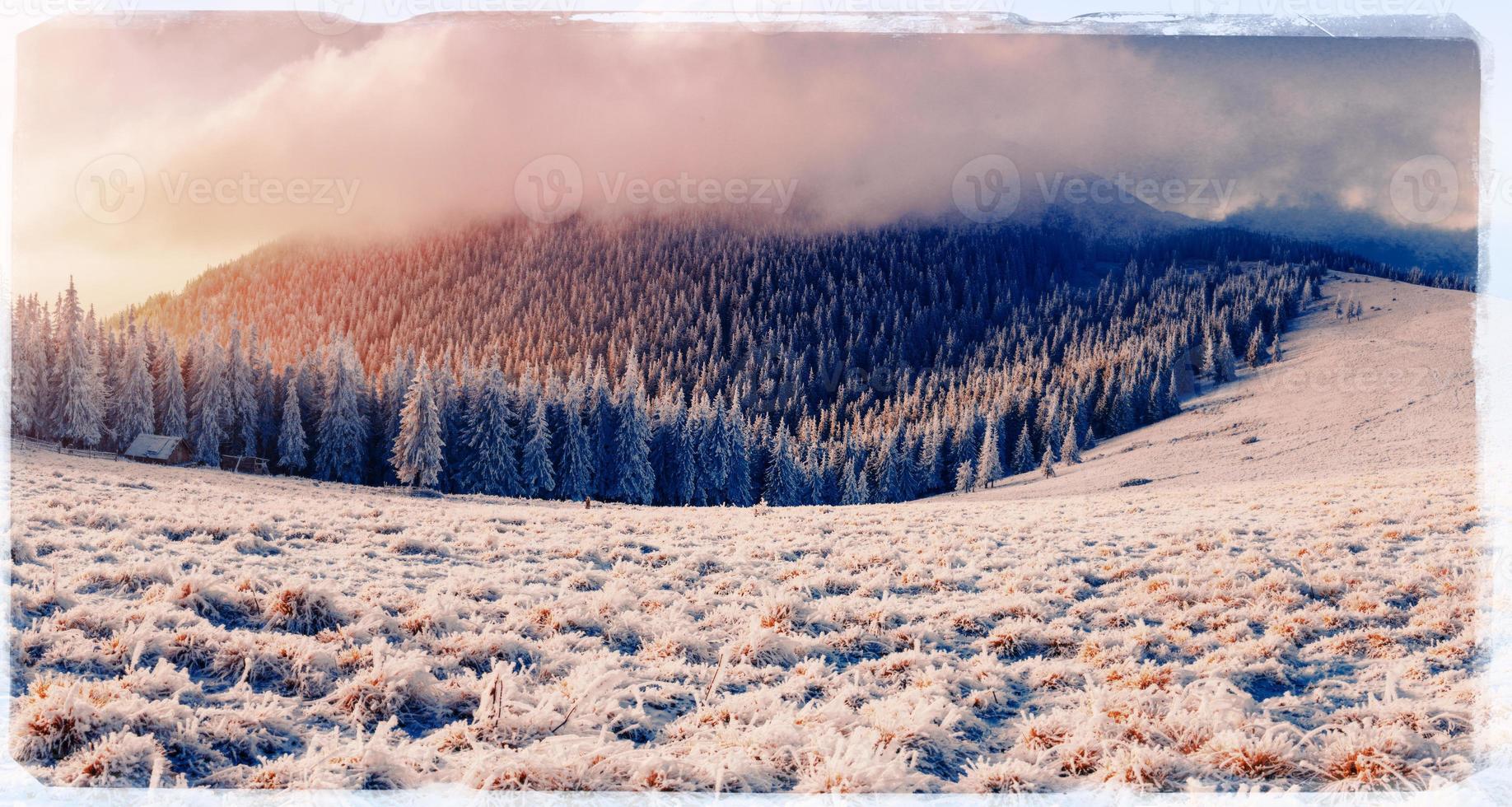 Winter landscape with snow in mountains Carpathians, Ukraine. Vi photo