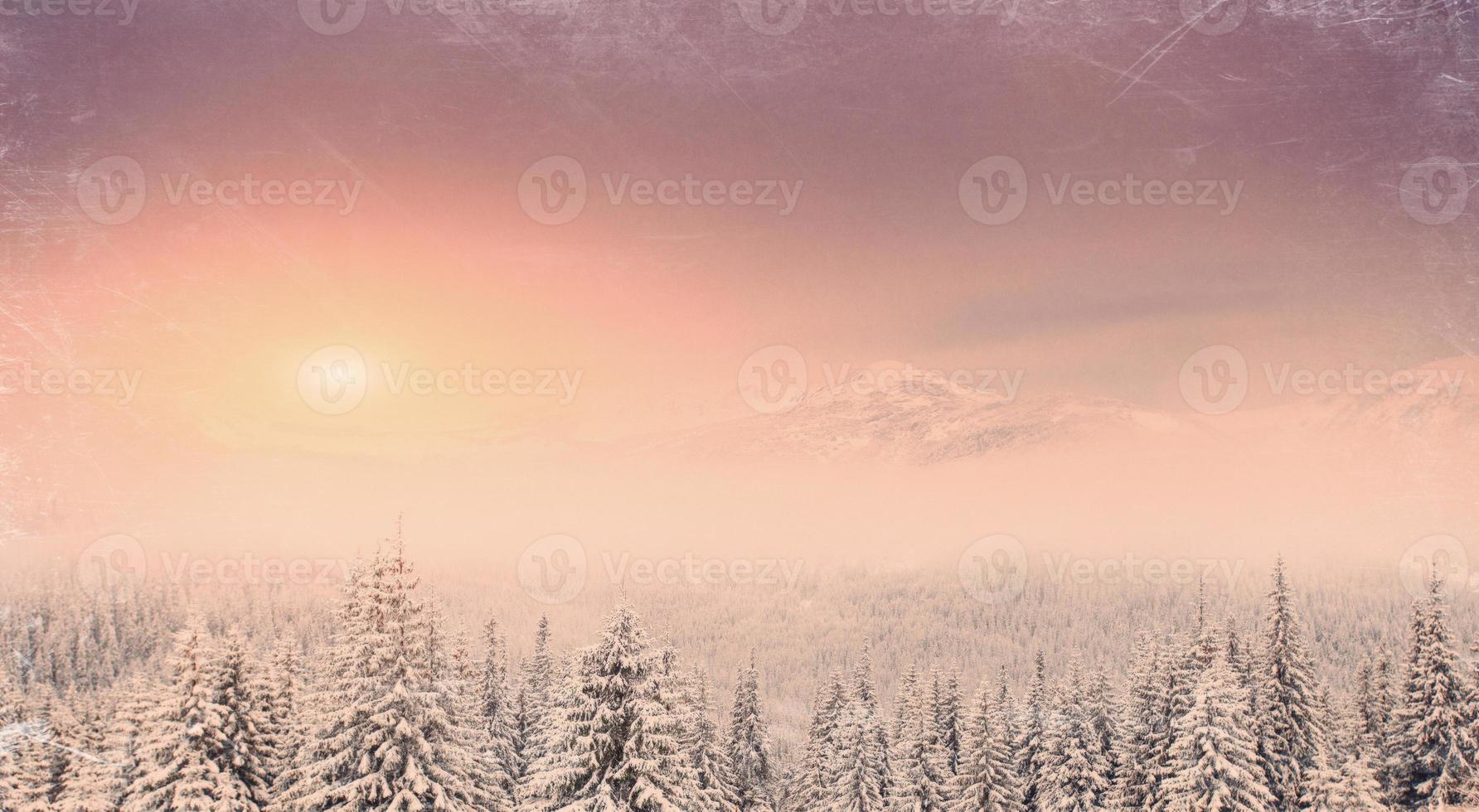 Winter landscape with snow in mountains Carpathians, Ukraine. Vi photo