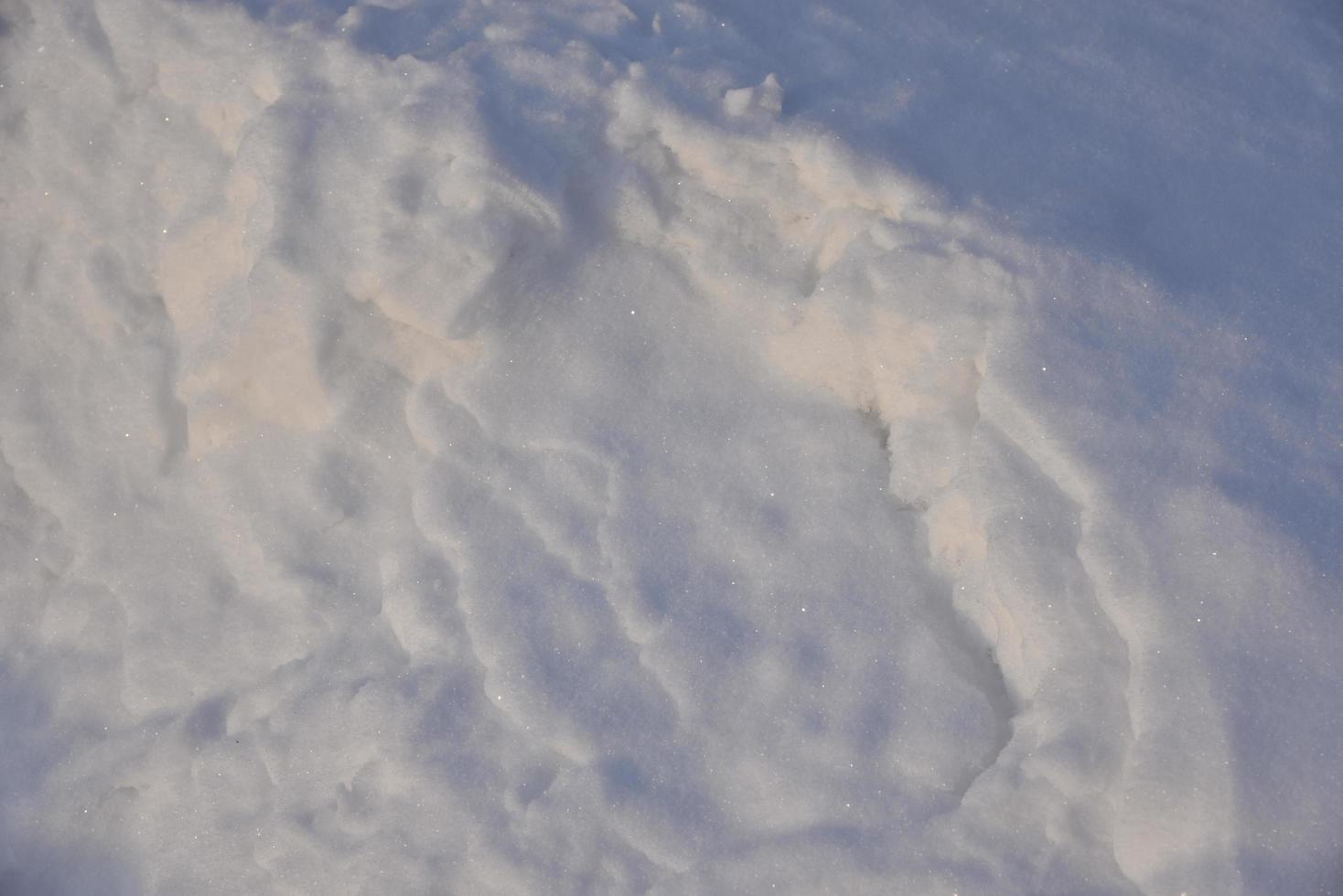 Blue pink winter snow in winter photo