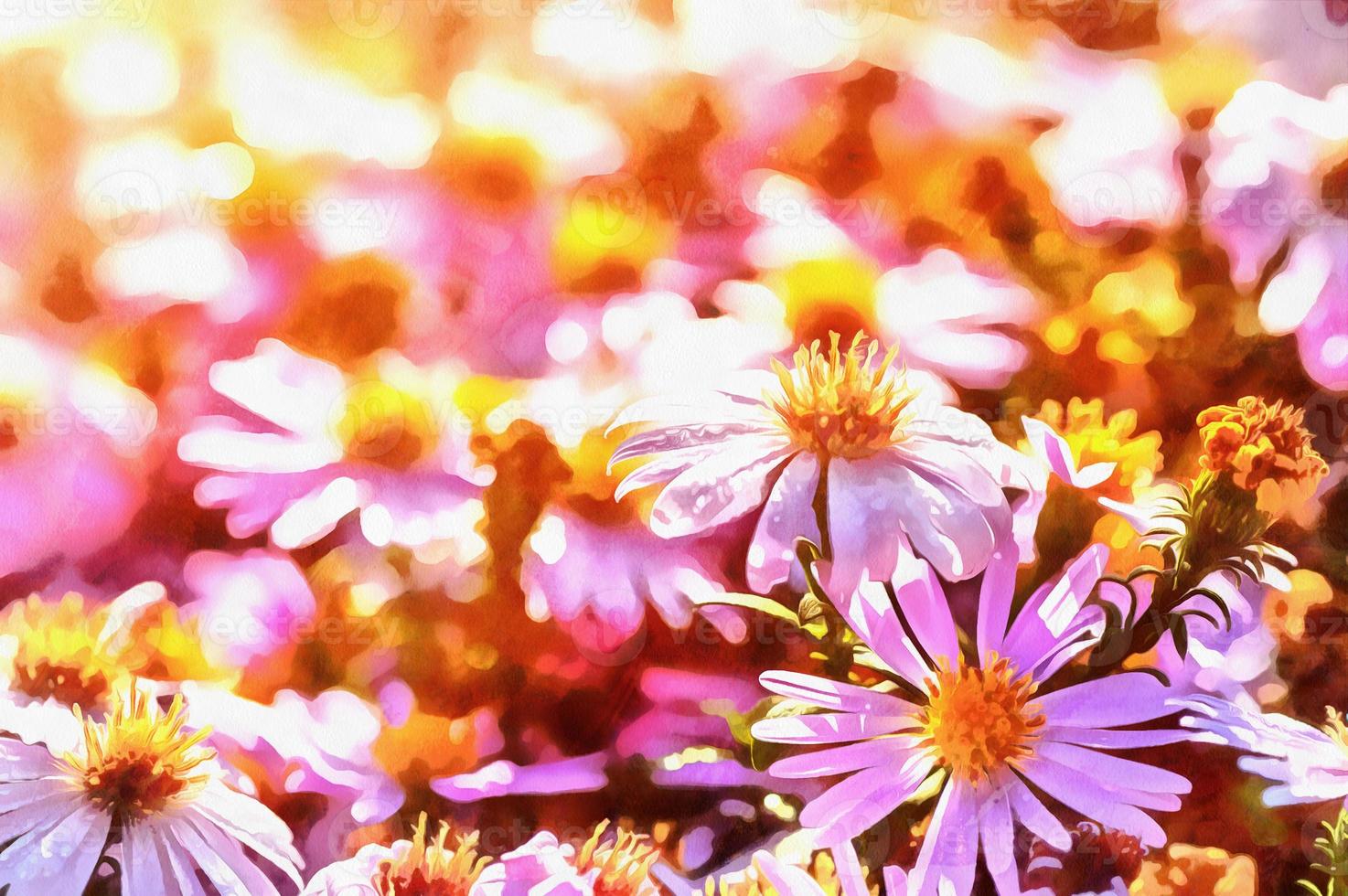 purple daisy. The works in the style of watercolor painting photo