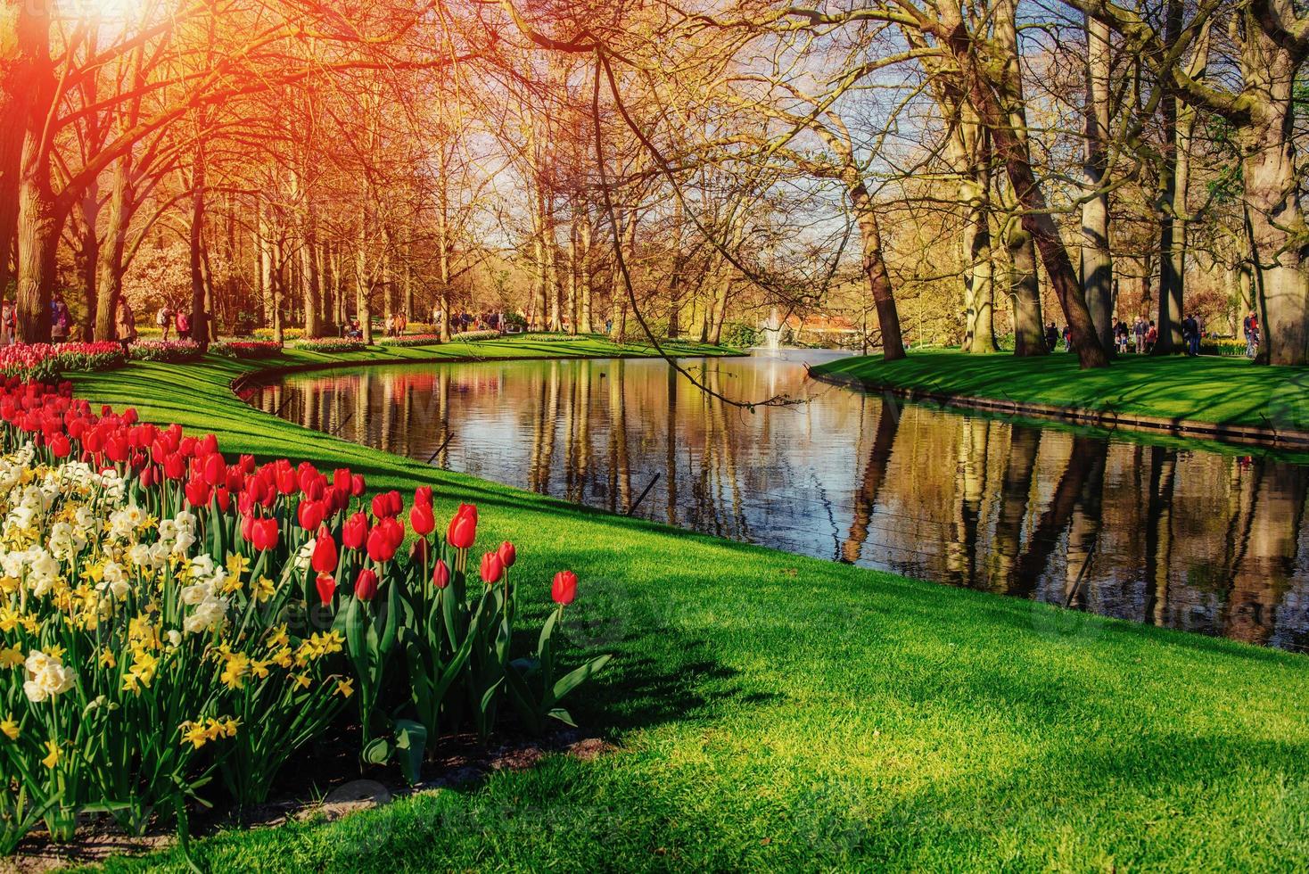lovely spring landscape park. Blooming flowers photo