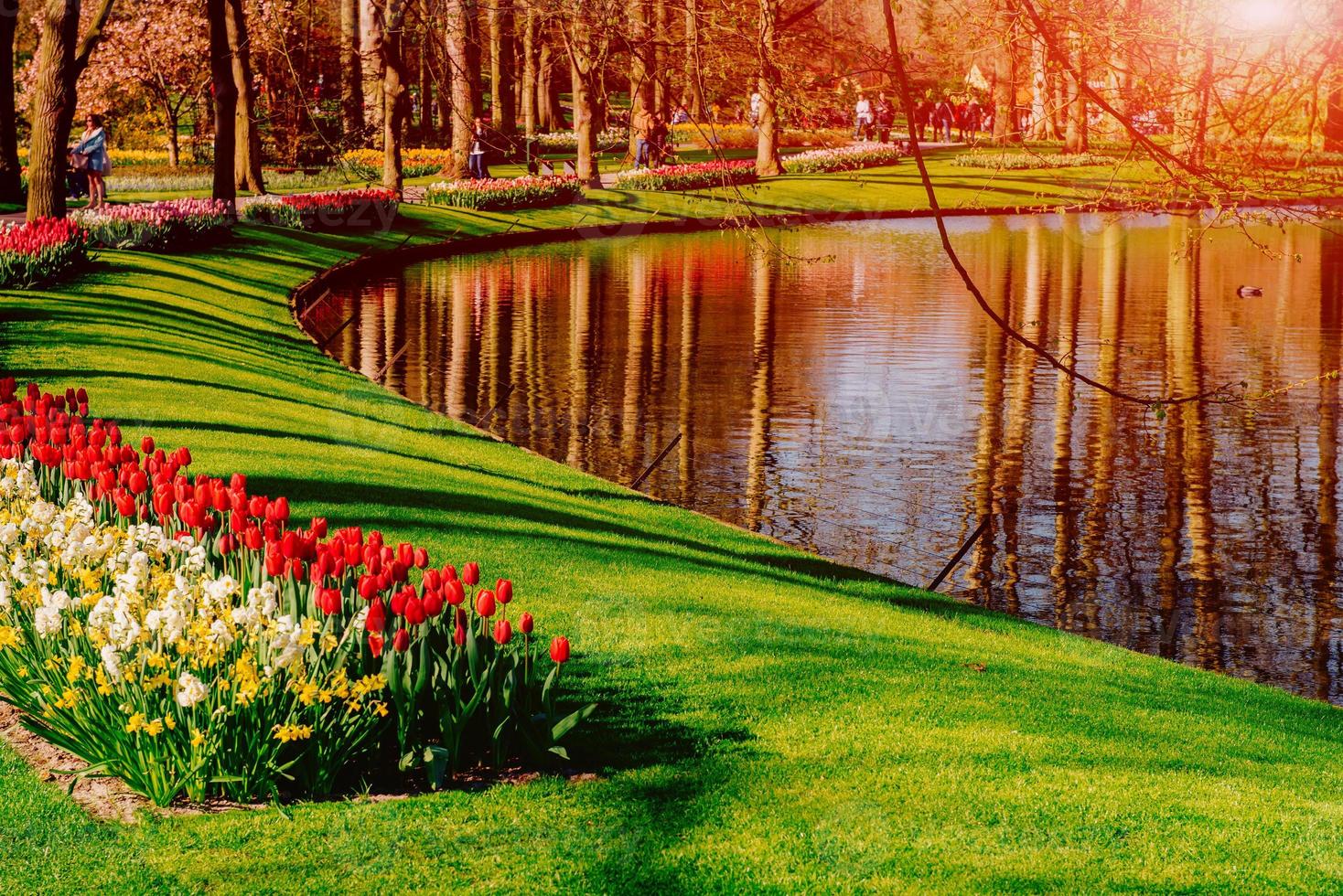 lovely spring landscape park. Blooming flowers 6538406 Stock Photo at