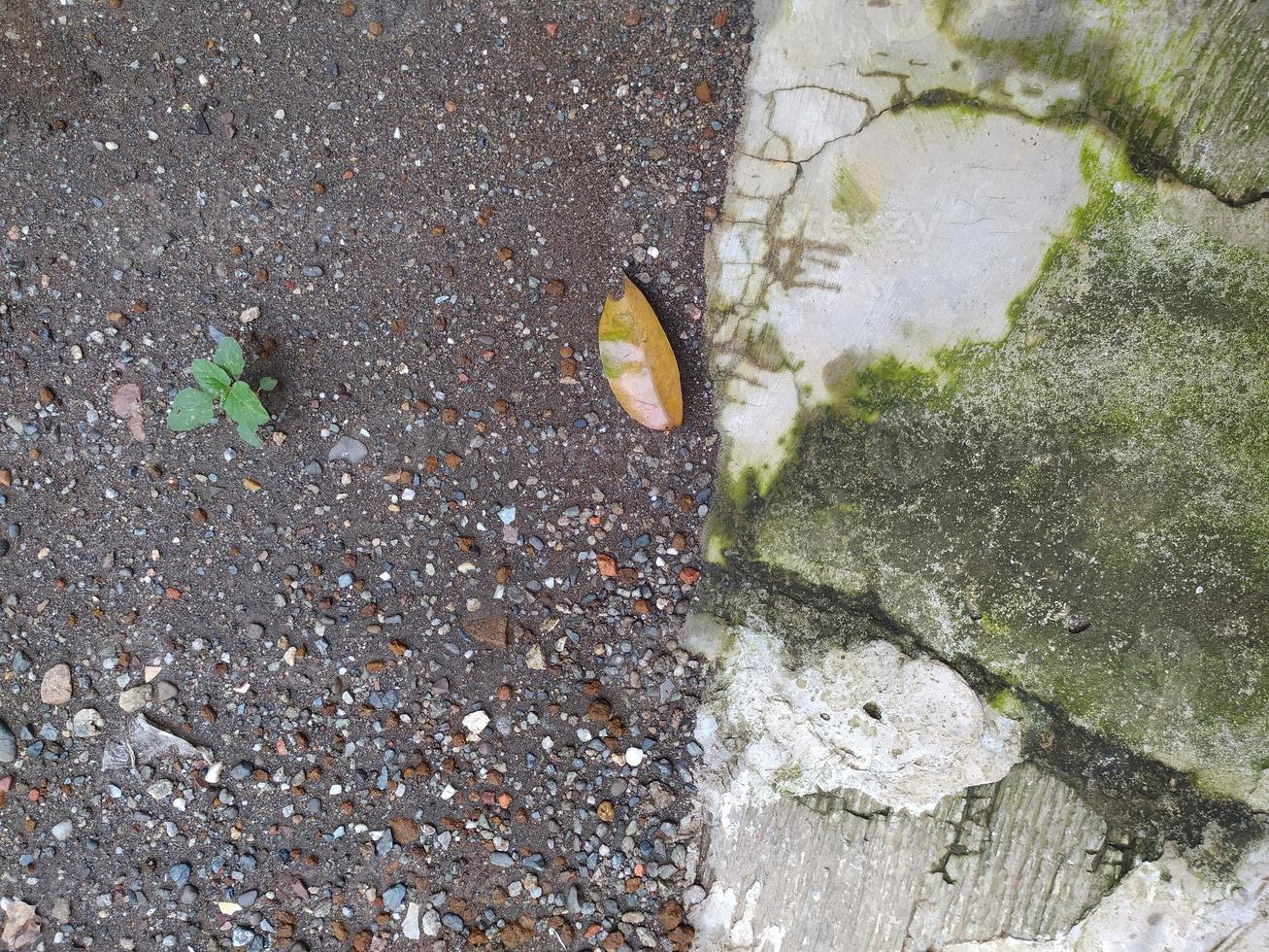 mossy walls and small rocks on the ground photo