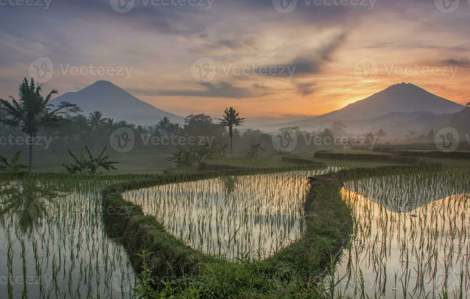 Sunrise view with the background of Mount Sumbing and Sindoro photo