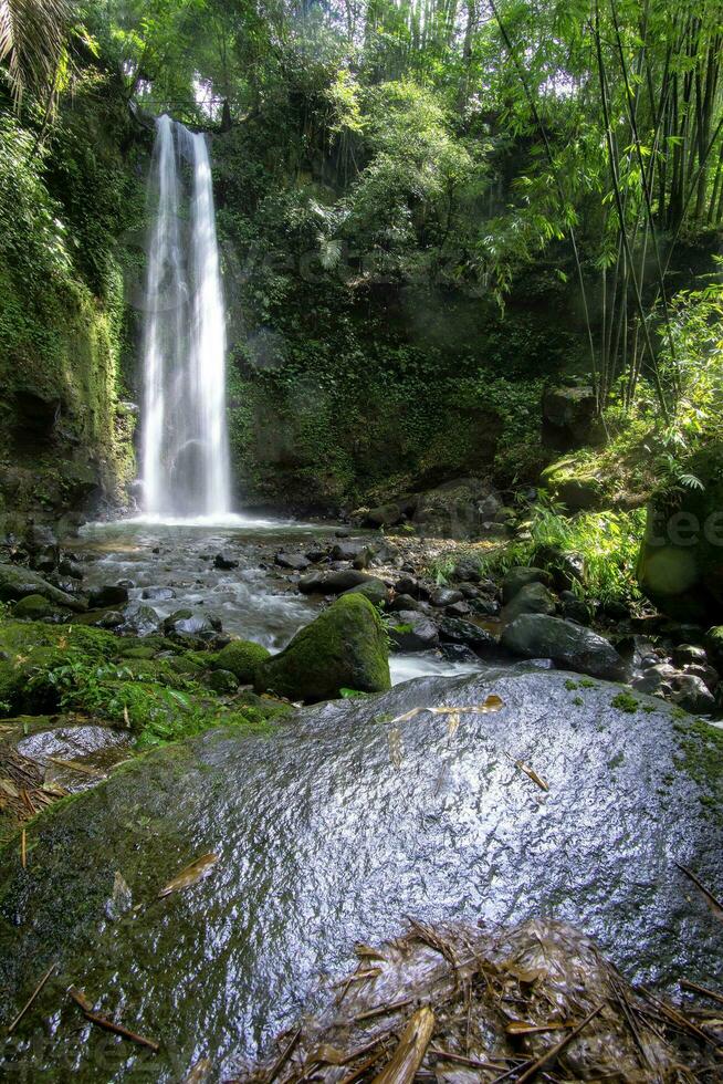 impresionante cascada escondida purbosono en un bosque foto