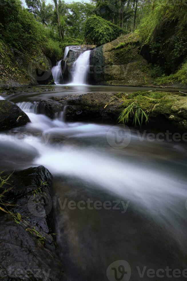 Paradise waterfall in a green forest. Beautiful waterfall in a forest, landscape mode waterfall view. photo