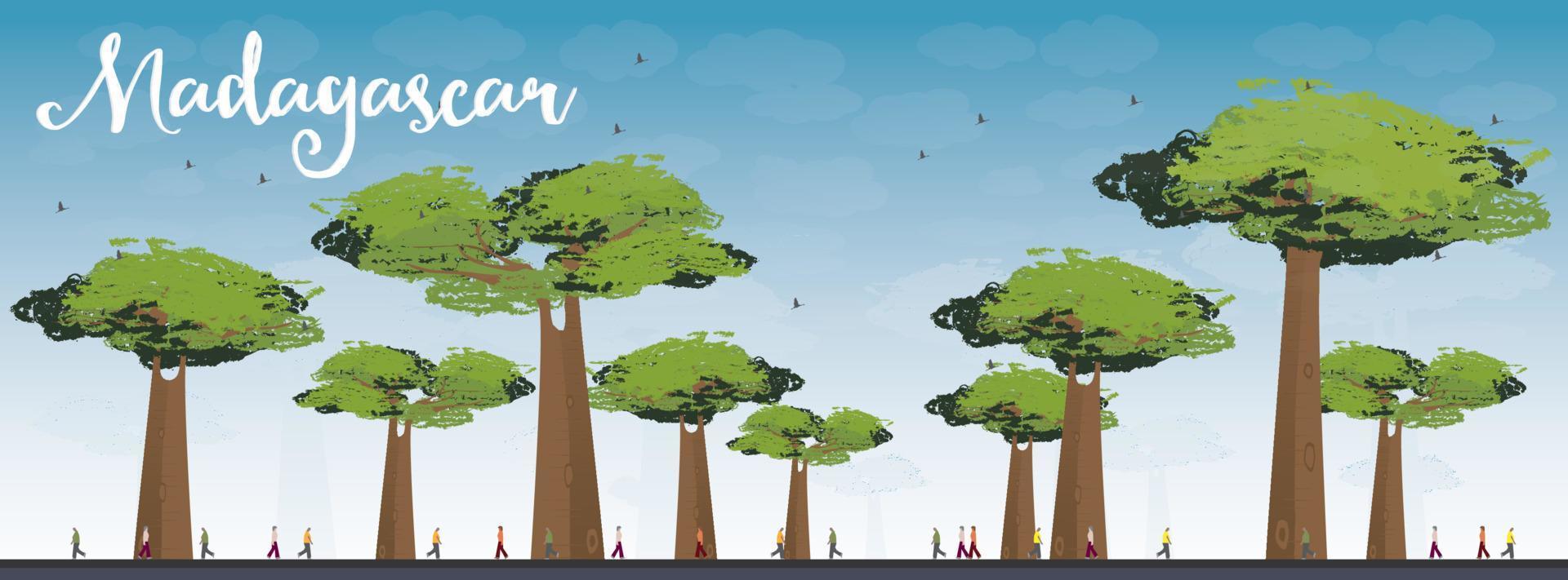 Madagascar skyline silhouette with baobabs with green foliage. vector