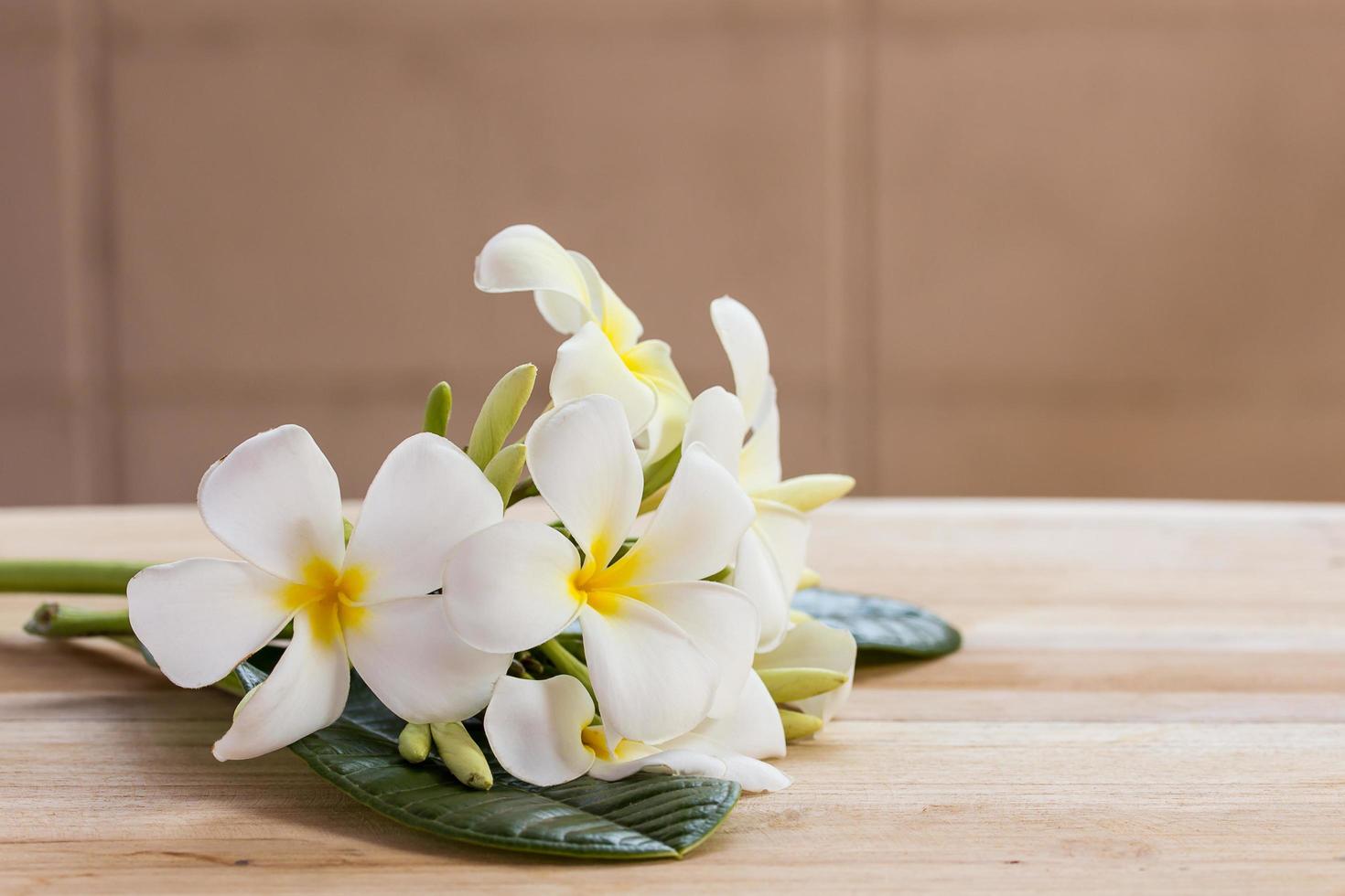 White flower on wooden table background. photo
