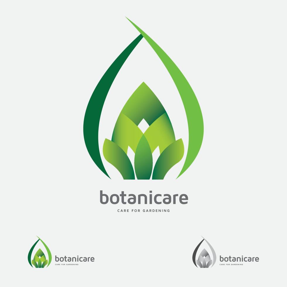 cuidado botani - logotipo de la hoja de té verde vector