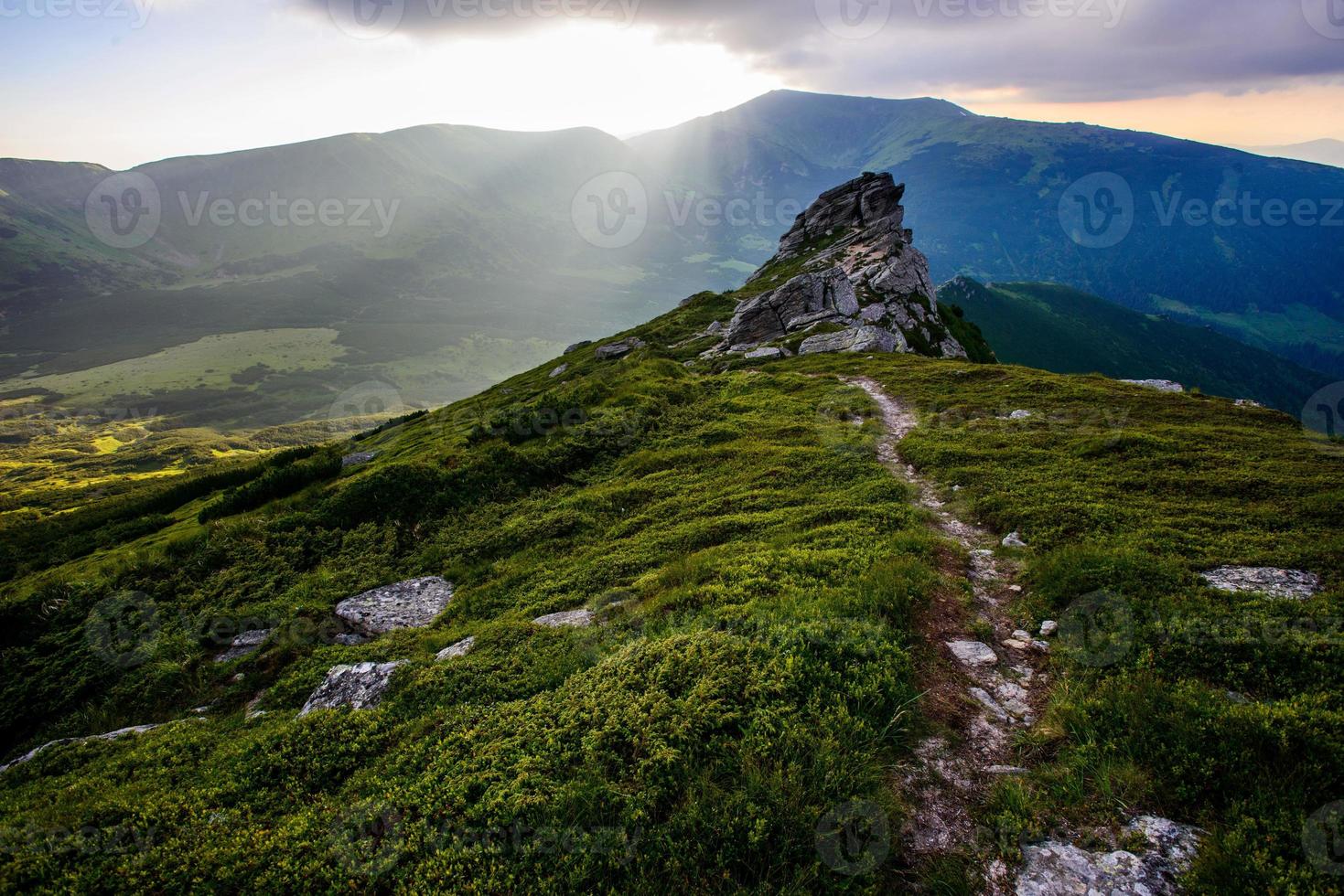 Summer mountain landscape in sunny weather photo