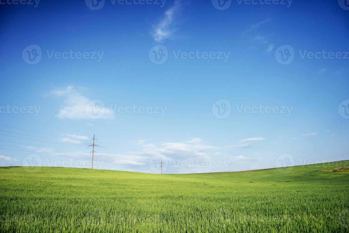 fantástica puesta de sol sobre el campo de trigo foto