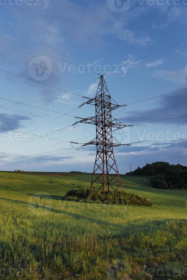 fantástica puesta de sol sobre el campo de trigo foto