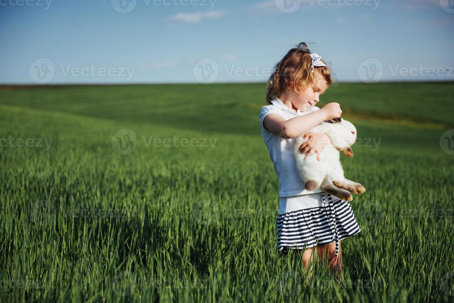 conejo bebé en un campo de trigo verde foto
