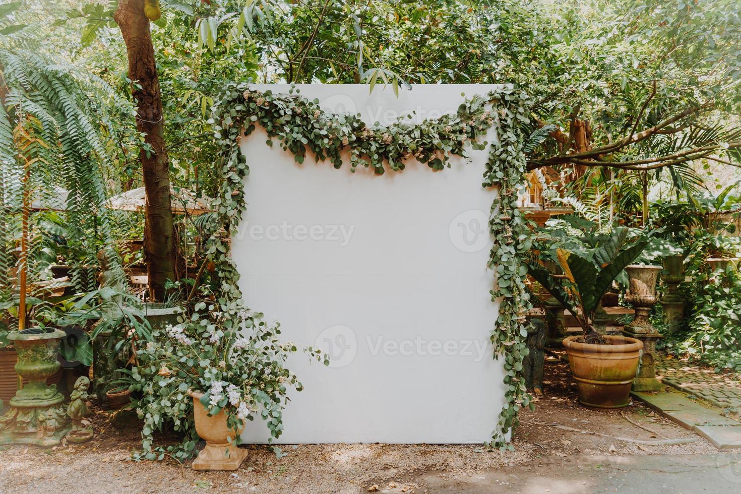 empty white backdrop for copy in garden photo