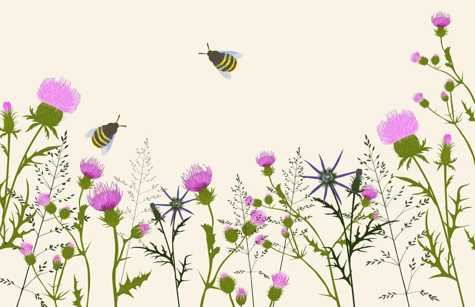 Spring. Flower meadow vector stock illustration. Botanical background. Green pastel landscape. Thistle. Wild flowers of the field.