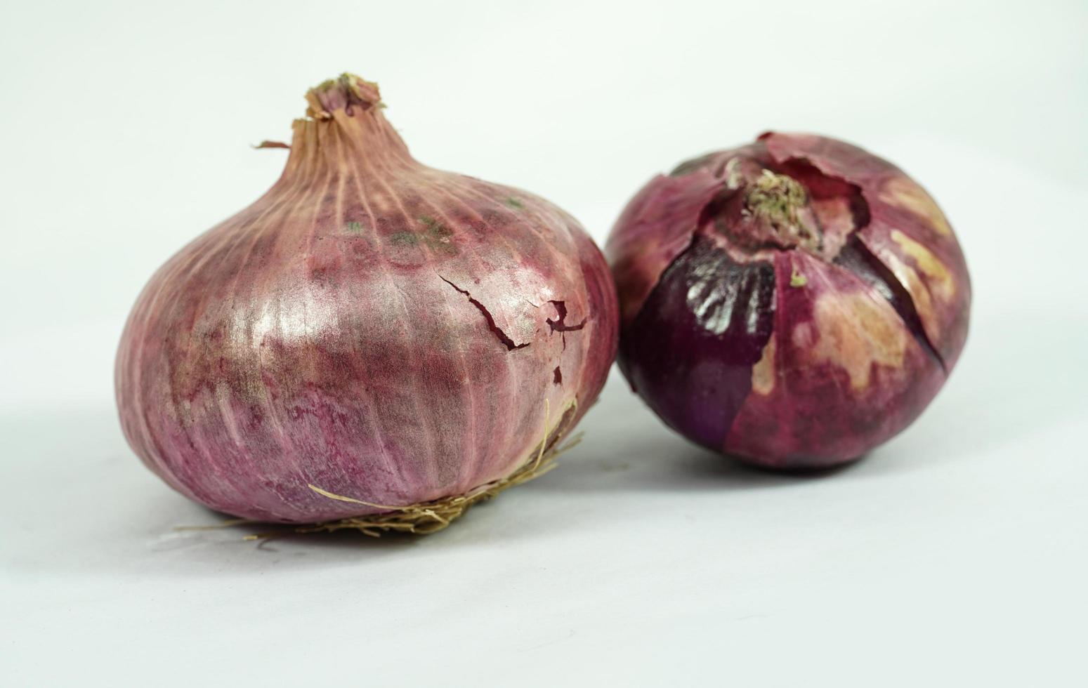 cebolla fresca sobre un fondo blanco foto