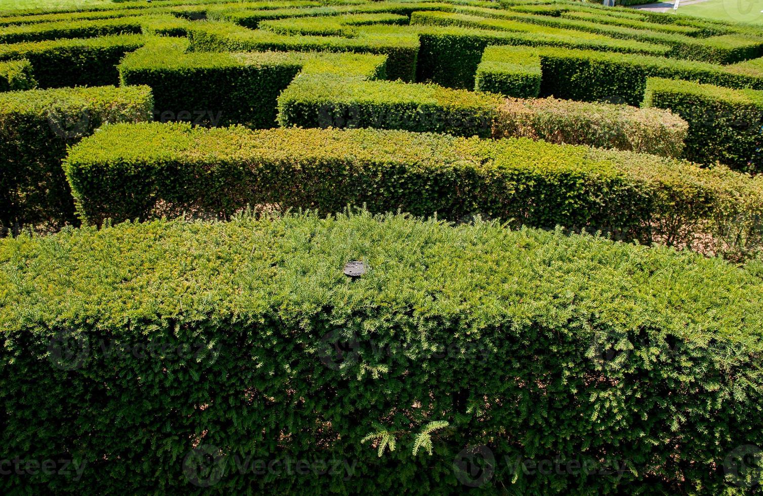 Labyrinth in botanical garden photo