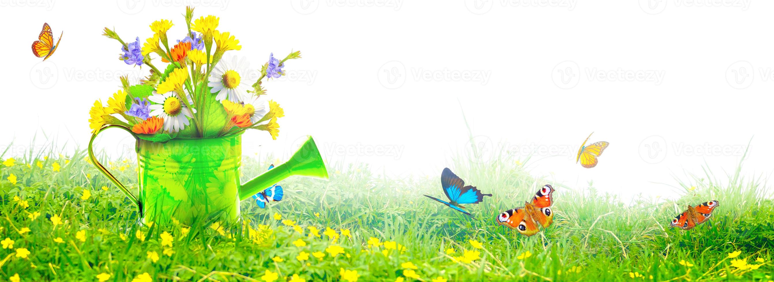 Colorful wild flower bouquet in a watering can with butterflies. photo