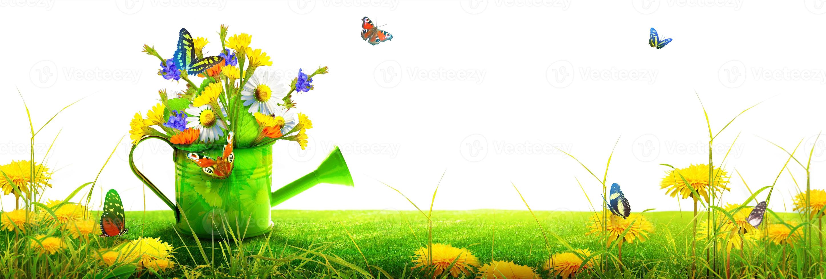 Colorful wild flower bouquet in a watering can with butterflies. photo