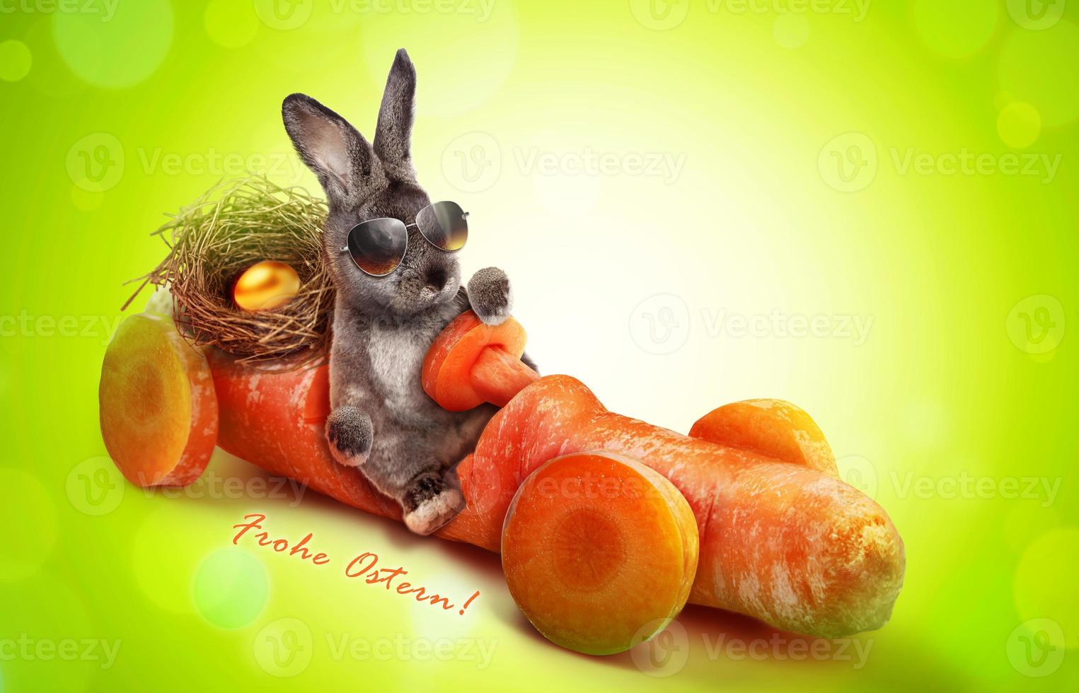 Funny Easter bunny. Happy Easter holiday concept. photo