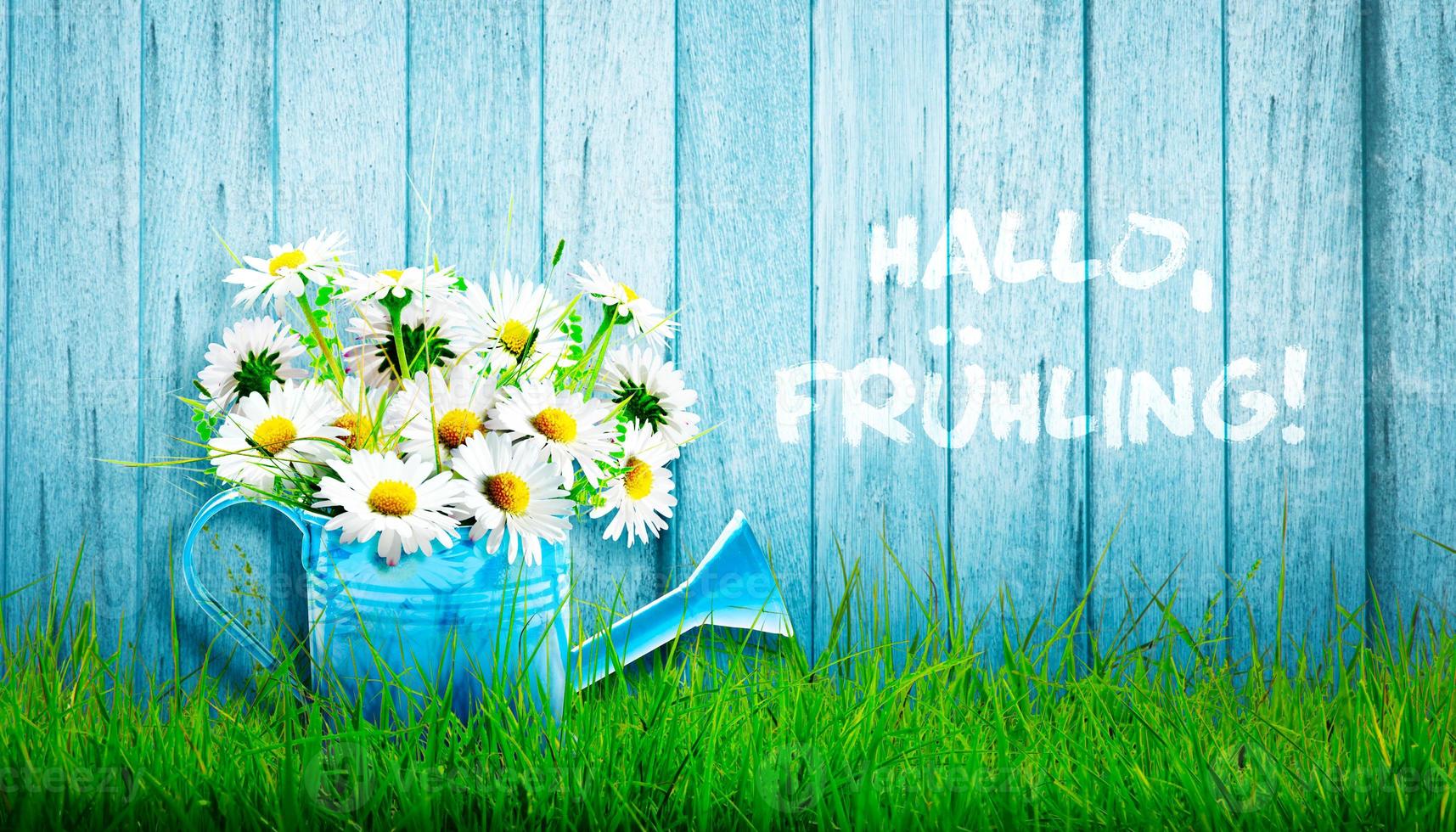 Colorful wild flower bouquet in a watering can. Concept of spring and gardening. photo
