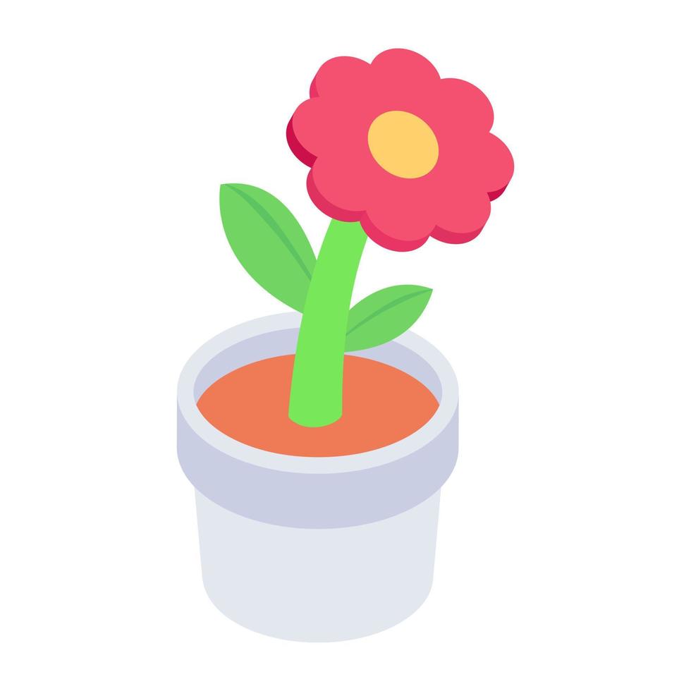 Isometric icon of daisy potted plant, indoor home decor vector