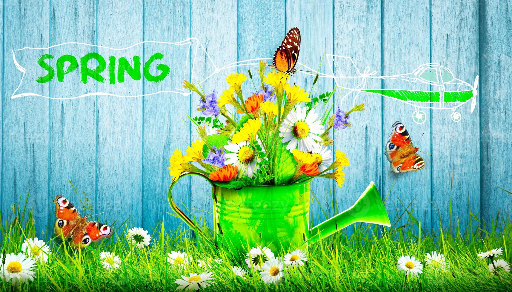 Colorful wild flower bouquet in a watering can with butterflies. photo