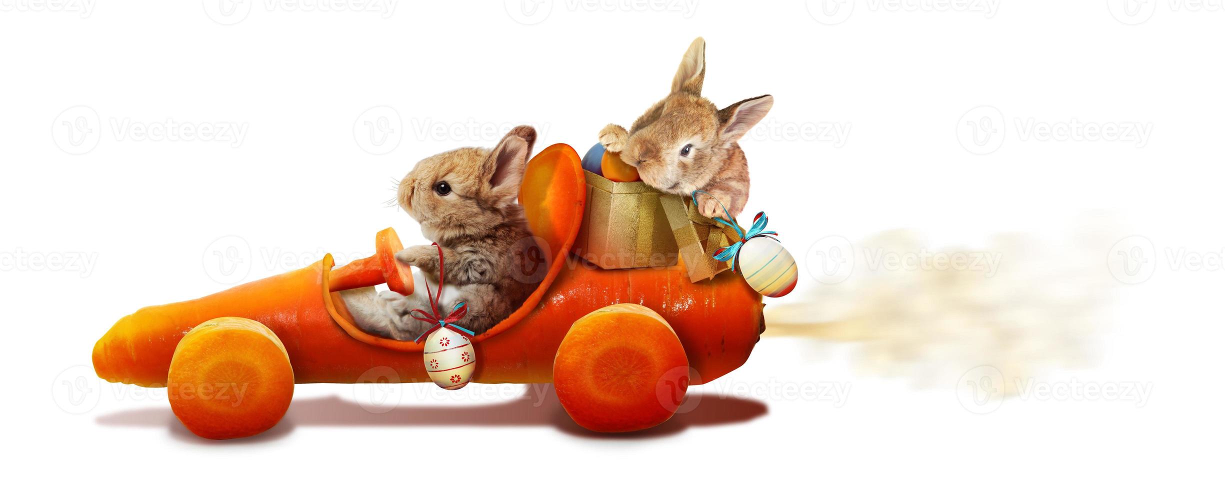 Funny Easter bunny. Happy Easter holiday concept. photo