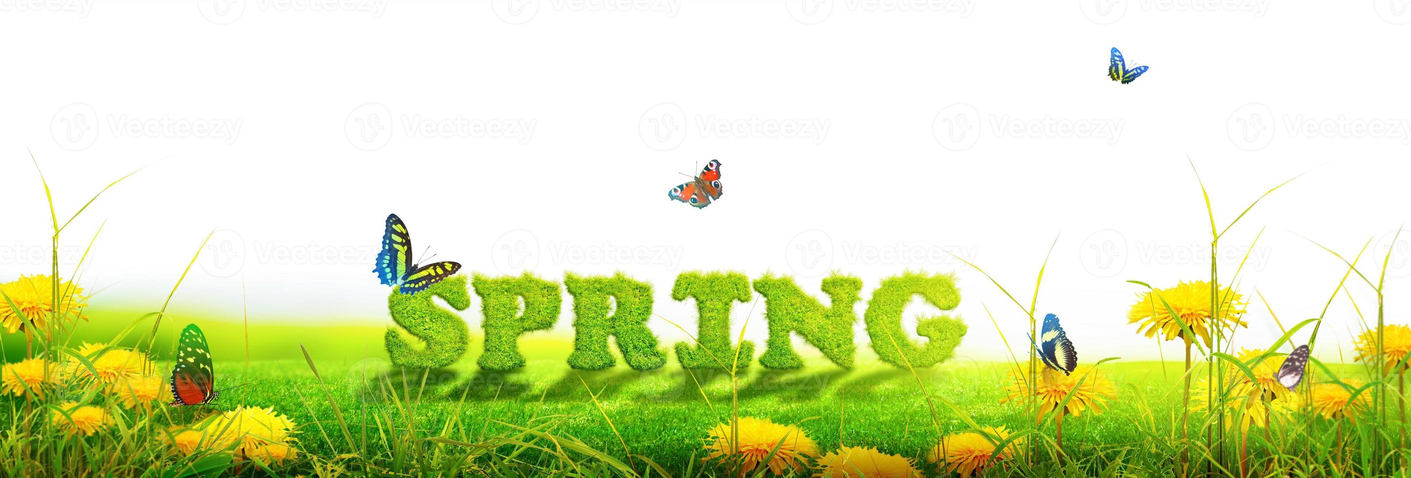 Spring and summer panorama with word spring. photo