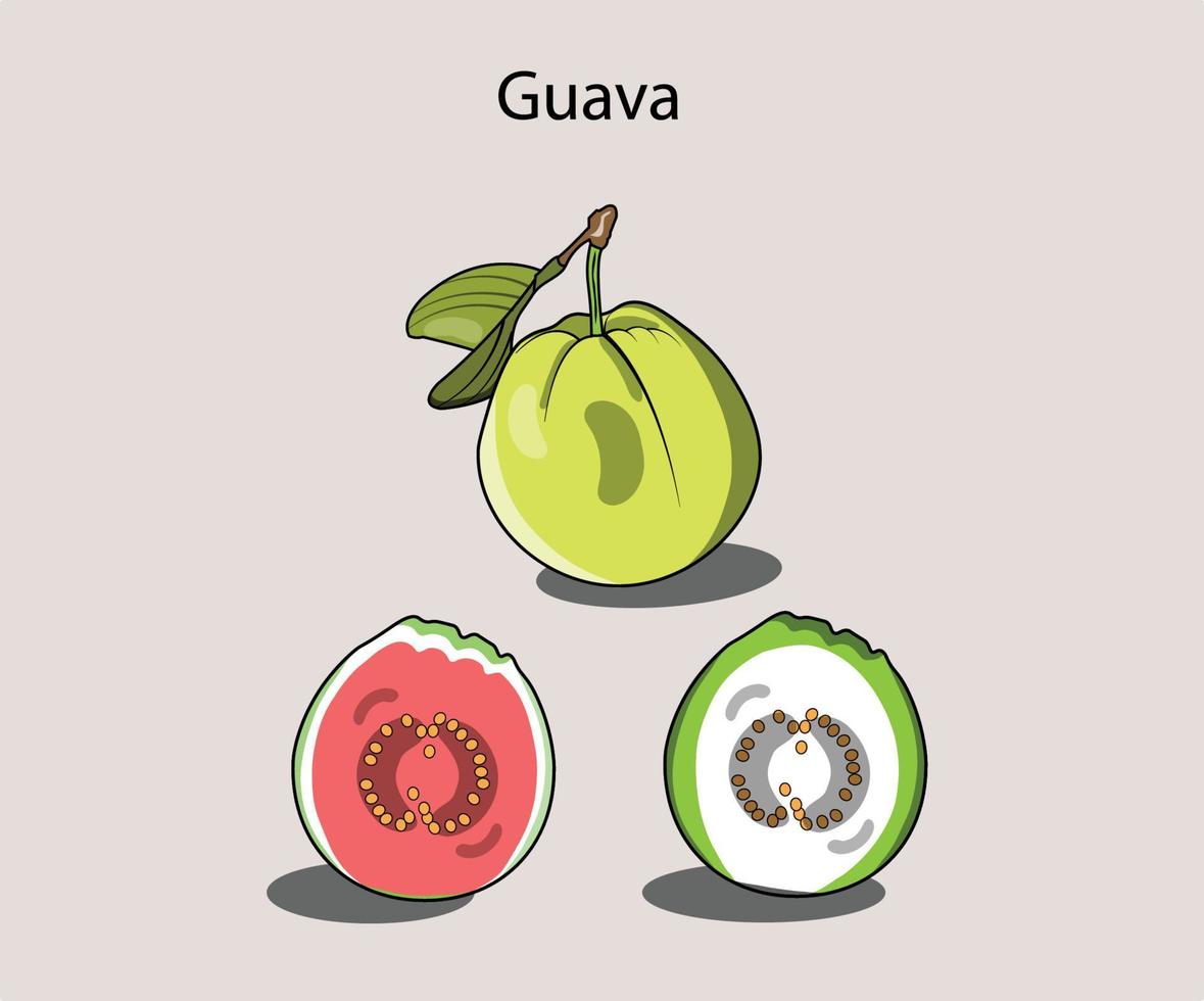 un conjunto de ilustración de guayaba se puede utilizar como guayaba de dibujos animados, icono o en merchandising. vector