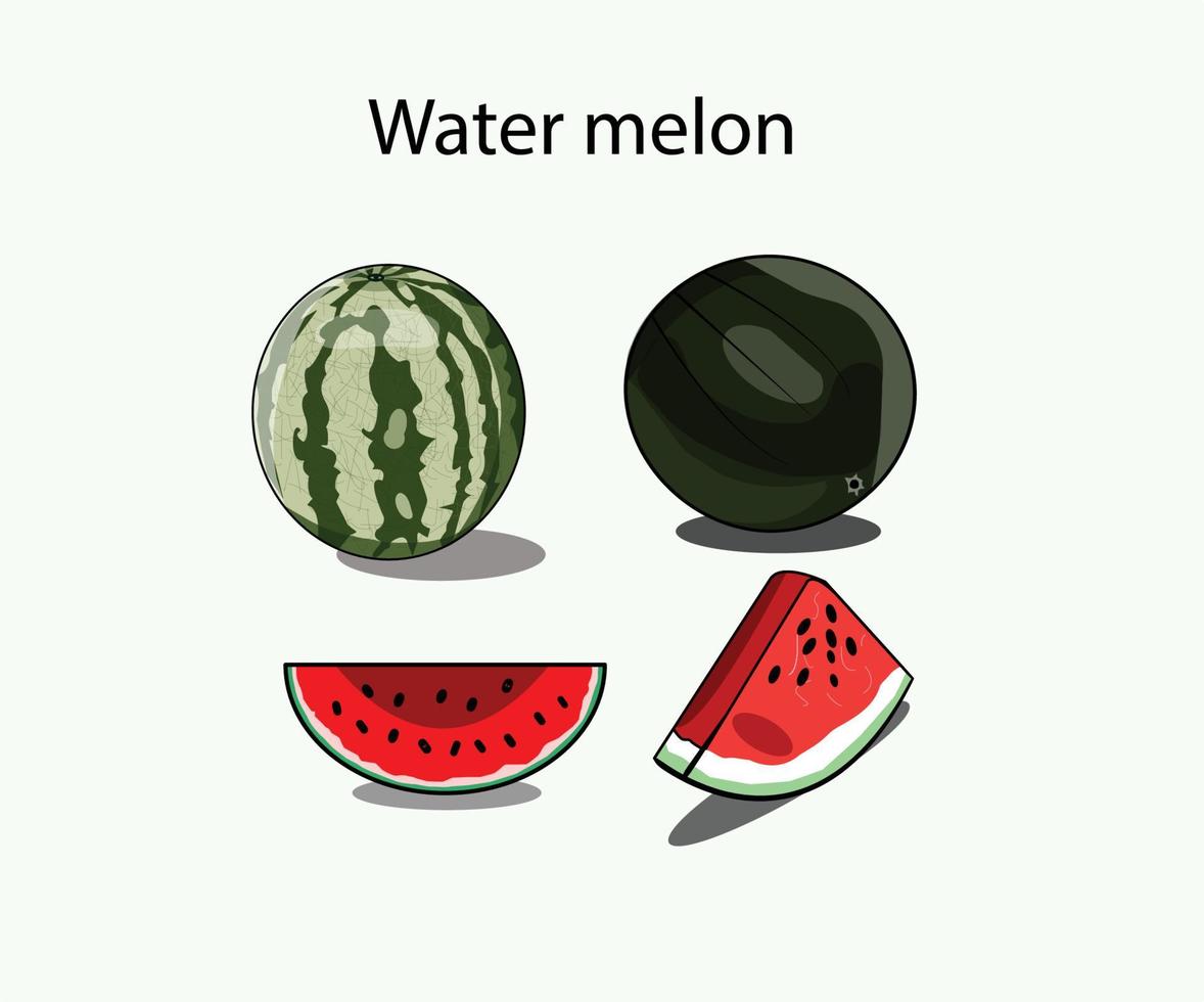 un conjunto de ilustración de melón de agua se puede utilizar como melón de agua de dibujos animados, icono o en merchandising. vector