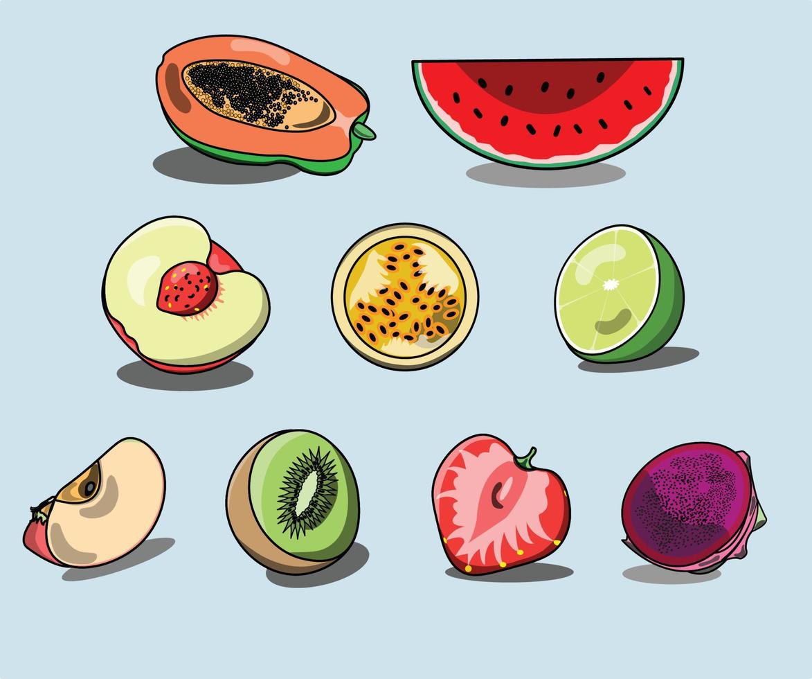 A set of fruit slice collection, can be used as icons, merch elements and books. vector