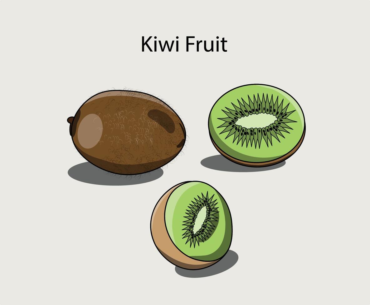 A set of Kiwi fruit illustration can be used as cartoon Kiwi fruit, icon or in merch. vector