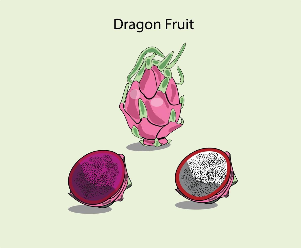 un conjunto de ilustraciones de frutas de dragón se puede utilizar como fruta de dragón de dibujos animados, icono o en merchandising. vector