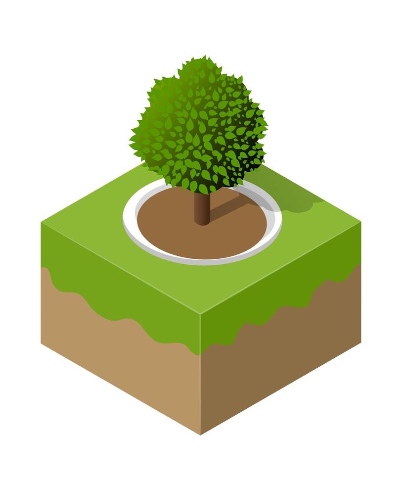 City quarter top view landscape isometric 3D illustration projection with trees vector
