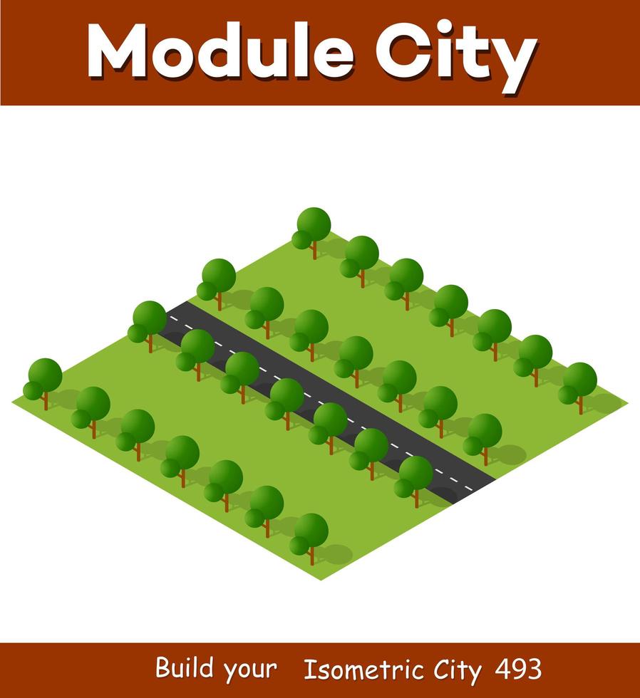 Isometric 3D illustration view from above to the Forest quarter vector