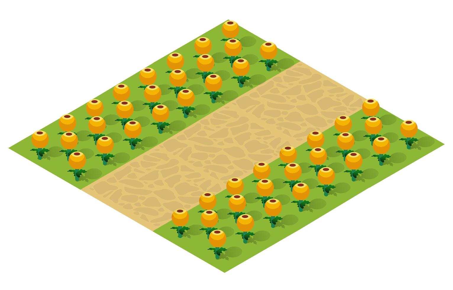 Isometric 3d illustration park trees forest nature vector