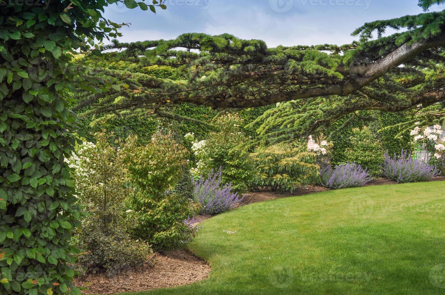 Flowers and trees in a green grove spot of greenery in a park photo