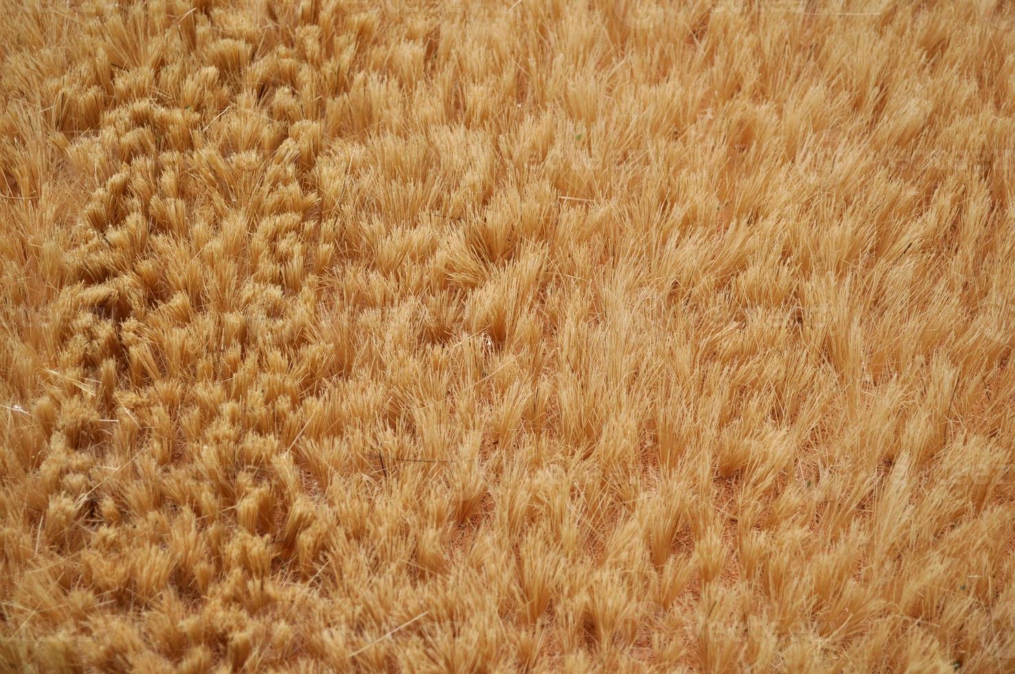 Carpet mat rug useful as a background photo