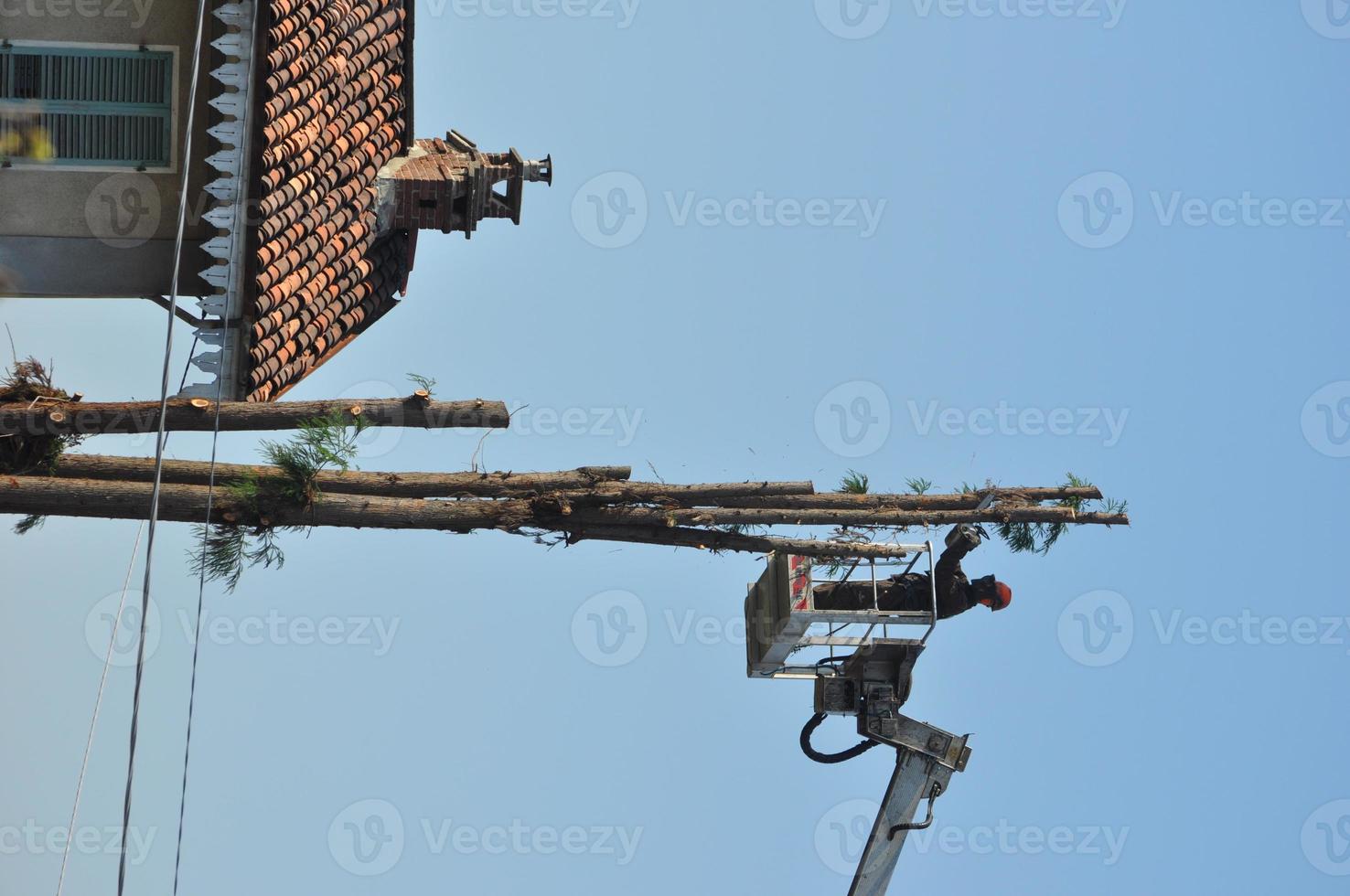 Unrecognisable gardener pruning a tree photo