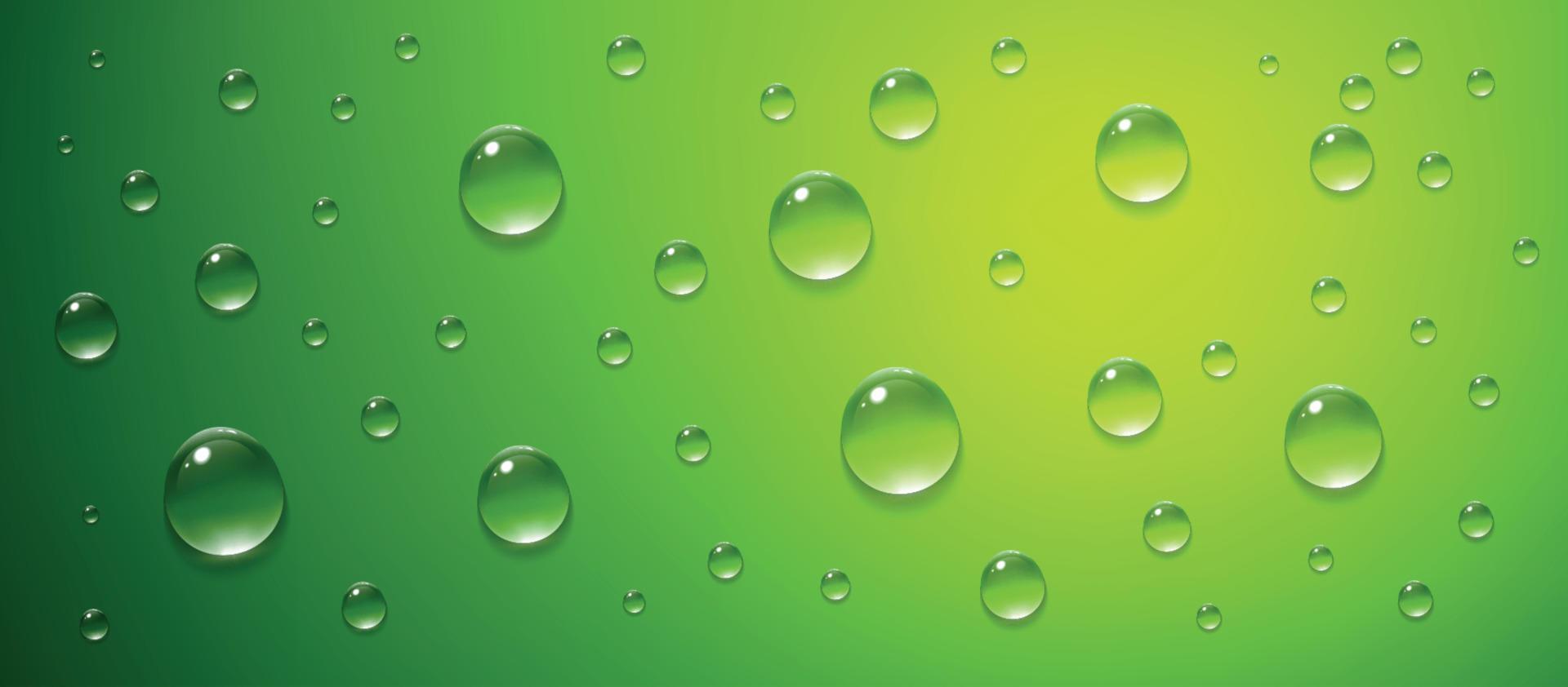 fondo verde con gotas de agua. vector