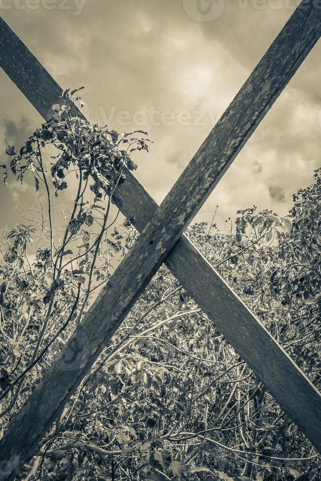 Wooden cross in tropical jungle with plants and tress Mexico. photo