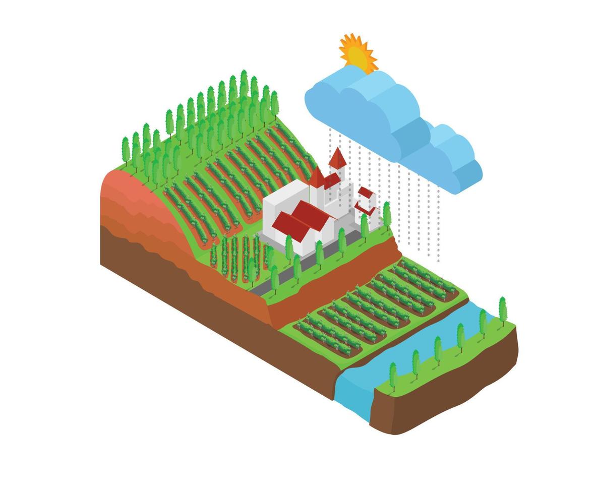 Isometric style illustration about grapes garden map on hillside vector