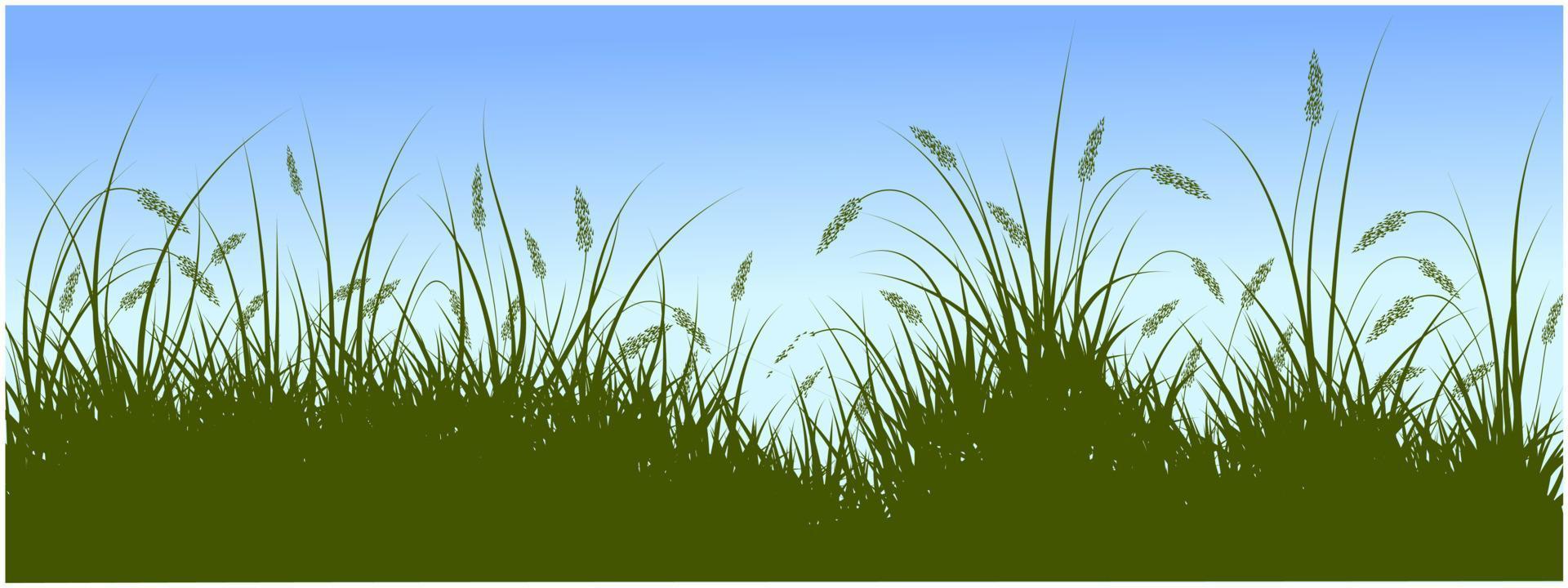 reeds silhouette background vector